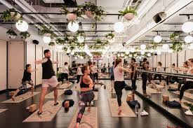 Atmananda yoga studio is a holistic wellness center that provides vinyasa yoga classes and meditatio. We Work We Live We Work Out Eventually We Die The New York Times