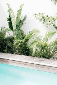 villa palmier saint barthelemy venue report amenagement paysager de piscine piscine et jardin amenagement jardin
