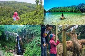 Inilah daftar tempat wisata di jember terbaru 2021 rekomendasi traveloka. Tempat Wisata Di Jember Terbaru 2021 Dengan Biaya Yang Murah Meriah