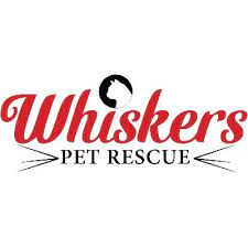 Adopt a pet from trumbull area shelters: Whiskers Pet Rescue Whiskers Ct Twitter