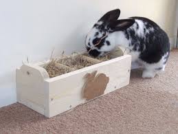 String yarn through like so. Rabbit Hay Feeder Feeding Trough Etsy Rabbit Hay Hay Feeder Rabbit Feeder