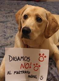 Digamos NO Al Maltrato Animal