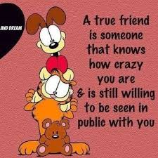 Garfield And Odie Friendship Quotes Funny Friends Quotes Friends Quotes Funny