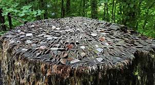 Sahabat traveler's, nasi tepeng sendiri dikenal sebagai salah satu kuliner khas di gianyar yang biasa dikonsumsi warga bali pada waktu pagi hari. Di Inggris Ternyata Ada Pohon Duit Beneran Lifestyle Fimela Com