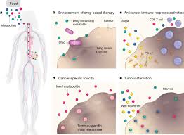 Your body needs a healthy diet to function at its best. Dietary Modifications For Enhanced Cancer Therapy Nature