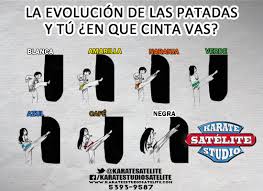 Significado Cintas Grados Kickboxing Artes Marciales Karate Estudio Satelite