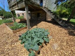 We did not find results for: Free Wood Chips From Chipdrop