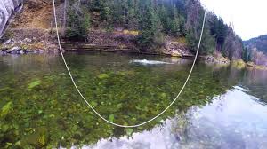 The majority of idaho's waters are located in this northern region. Fly Fishing The N Fork Of The Coeur D Alene River Youtube