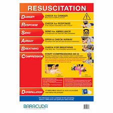 barucuda resuscitation chart