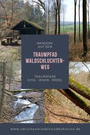 Mit eurohike deutschland auf flachen und bergigen touren erkunden. Wandern Auf Dem Traumpfad Waldschluchtenweg Wandern Ausflug Urlaub