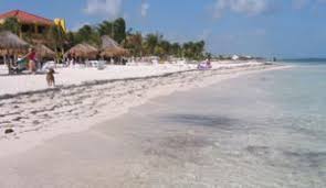 The superb mesoamerican barrier reef, only 1,800 feet offshore, is an excellent place to explore with a snorkel or scuba tank. Puerto Morelos Wikitravel