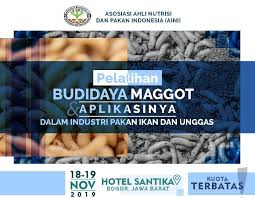 Cara budidaya maggot bsf hemat pakan ternak how to bsf cultivate saving livestock feed. Pelatihan Aini Budidaya Maggot Dan Aplikasinya Dalam Industri Pakan Ikan Dan Unggas Agropustaka