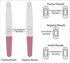 In a perfect world, all positive pregnancy tests would look the same and be easy to interpret. Pregnancy Midstream Tests Instruction Www Early Pregnancy Tests Com