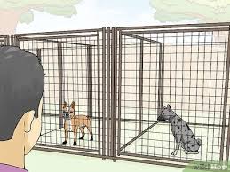 Check spelling or type a new query. 3 Ways To Find A Reputable Dog Breeder Wikihow