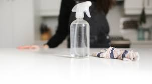ing homemade nontoxic cleaner recipe