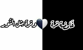 غامضة مرة ومرة مثل النور arabic quotes quotes arabic