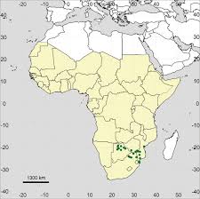 You can also dive into yearly archives: Evolutionary Relationships Biogeography And Morphological Characters Of Glinus Molluginaceae With Special Emphasis On The Genus Composition In Sub Saharan Africa