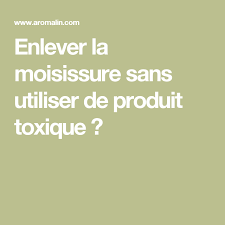 Enlever La Moisissure Sans Utiliser De Produit Toxique Enlever Les Moisissures Moisissure Enlever