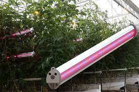 Maybe you would like to learn more about one of these? Plessey Launches New Hyperion Inter Light To Complement Existing Top Lighting In Greenhouses Led Professional Led Lighting Technology Application Magazine