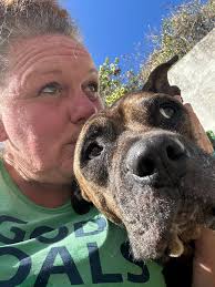 Senior Dog Needs Foster or Adopter for End of Life Care