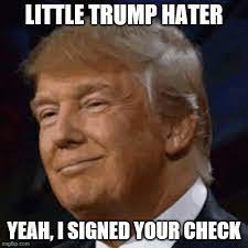 Politics Little Trump Hater Memes Gifs Imgflip