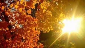 Duminica, vremea va fi calda. Cum Va Fi Vremea In Acest Weekend Prognoza Meteo Pentru SambÄtÄ Èi DuminicÄ Ziarul Unirea