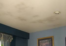Does mould sink into painted ceilings so that it does not come off? Ceiling Mold Growth Learn The Cause And How To Prevent It Environix