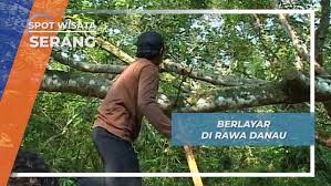 Terletak di kabupaten serang, sekitar 80 km dari jakarta, rawa dano adalah tujuan wisata yang hebat di banten. Rawa Danau Serang Rawa Dengan Ketinggian 192 Meter Diatas Permukaan Laut Banten