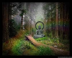 2304pixels x 1440pixels size : Buddha Wallpapers Hd Desktop Download Iphones Wallpapers Desktop Background