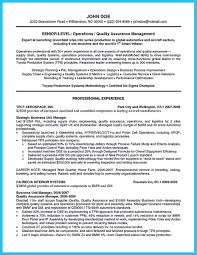 Executive resume sample skills list. Sales Executive Resume Sample Workbloom