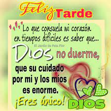 Las tardes tampoco son tiempo. Tarjetas Postales De Buenas Tardes Buen Provecho Amigos El Banco De Imagenes Gratis