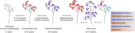 Most current gm crops grown in the u.s. De Novo Domestication An Alternative Route Toward New Crops For The Future Sciencedirect