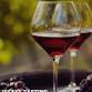 Bordeaux Library Tasting Petit Verdot | Malbec