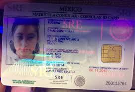 Consular identification (cid) cards are issued by some governments to their citizens who are living in foreign countries. Http Inside Dol Wa Gov Wp Content Uploads 2012 05 Idalert Mx Matricula Card 2014 Pdf
