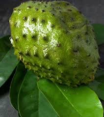 Also, help cleanse out toxic that stay inside the brain. Top 10 Surprising Benefits Of Soursop Leaves For Skin Hair And Health Welcome To Institute Rejuvee