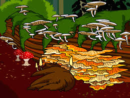 A kingdom is a group of players who join together to help each other and to compete against other kingdoms in two main ways, climbing the honor (cups). Six Kingdoms Brainpop