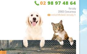 Laissez votre chien le village des pattes à plogonnec (quimper, finistère, bretagne), pension. Creation Site Web Animaux Site Du Chenil De Kersaby Pension Chien Chat A Concarneau
