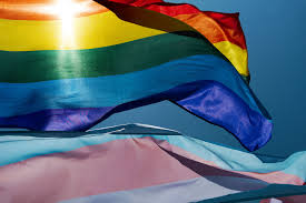 De eerste zaanse regenboogparade ooit door het centrum van zaandam gaan. Rainbow Washing Wat Is Het En Waarom Is Het Een Probleem