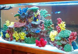Amazon Com Instant Reef Dm012 Artificial Coral Reef Aquarium Artificial Coral Aquarium Decor Fresh Water Fish Tank