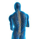 Image result for vyhřezlá ploténka