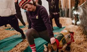 Woodstock wellness center is your neighborhood chinese medicine and yoga center. Alternative Yoga Classes In And Near Portland The Official Guide To Portland