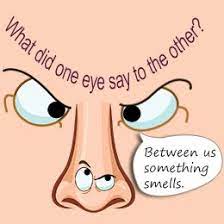 Fun Questions Buzzle Com Funny Brain Teasers Brain Teasers Brain Teasers For Adults