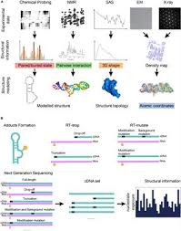 Volcanic ash is formed during explosive volcanic eruptions when. Frontiers Advances In Rna 3d Structure Modeling Using Experimental Data Genetics