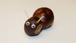 Kastanien Schnecke Basteln Kastanien Basteln Kastanienmannchen Basteln Basteln Anleitung
