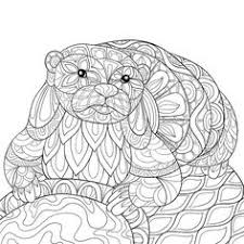 This otter coloring pages will helps kids to focus while developing creativity, motor skills and color recognition. Otter Coloring Pages For Adults Novocom Top