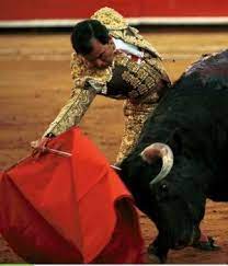 El Maestro Eloy Cavazos Chihuahua Mexico Bull Fight Ciudad Juarez