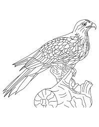 Wolf's father is the leader in the group. Hawk Coloring Pages To Download And Print For Free