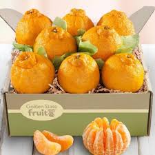 Buah yang di gambar ini dipercaya memiliki kandungan yang bagus untuk ibu hamil. 10 Buah Termahal Di Dunia Harganya Bisa Dibuat Beli Mobil Lho