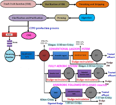 Maybe you would like to learn more about one of these? Pome Conventional Treatment System Was Adopted For Aerobic Lagoon And Download Scientific Diagram