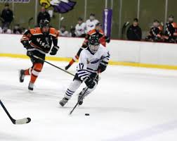 Winona keeps Barge Rope in win over Red Wing boys' hockey